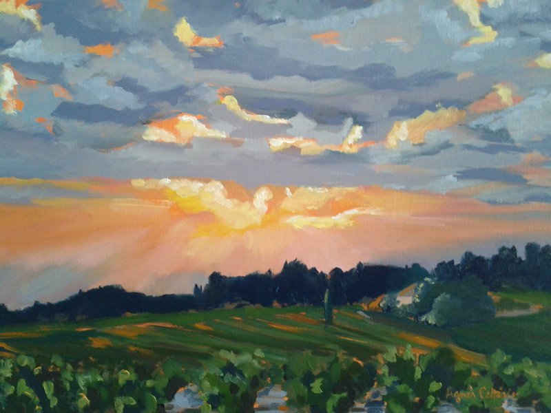 Coucher de soleil sur les vignes