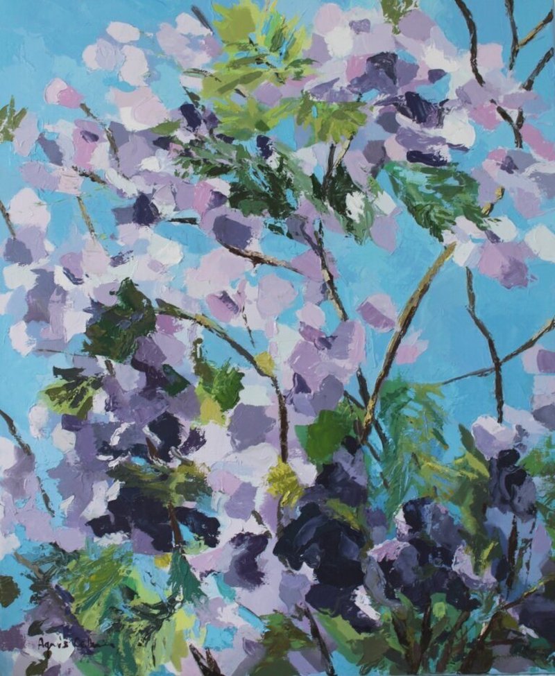 Jacarandas