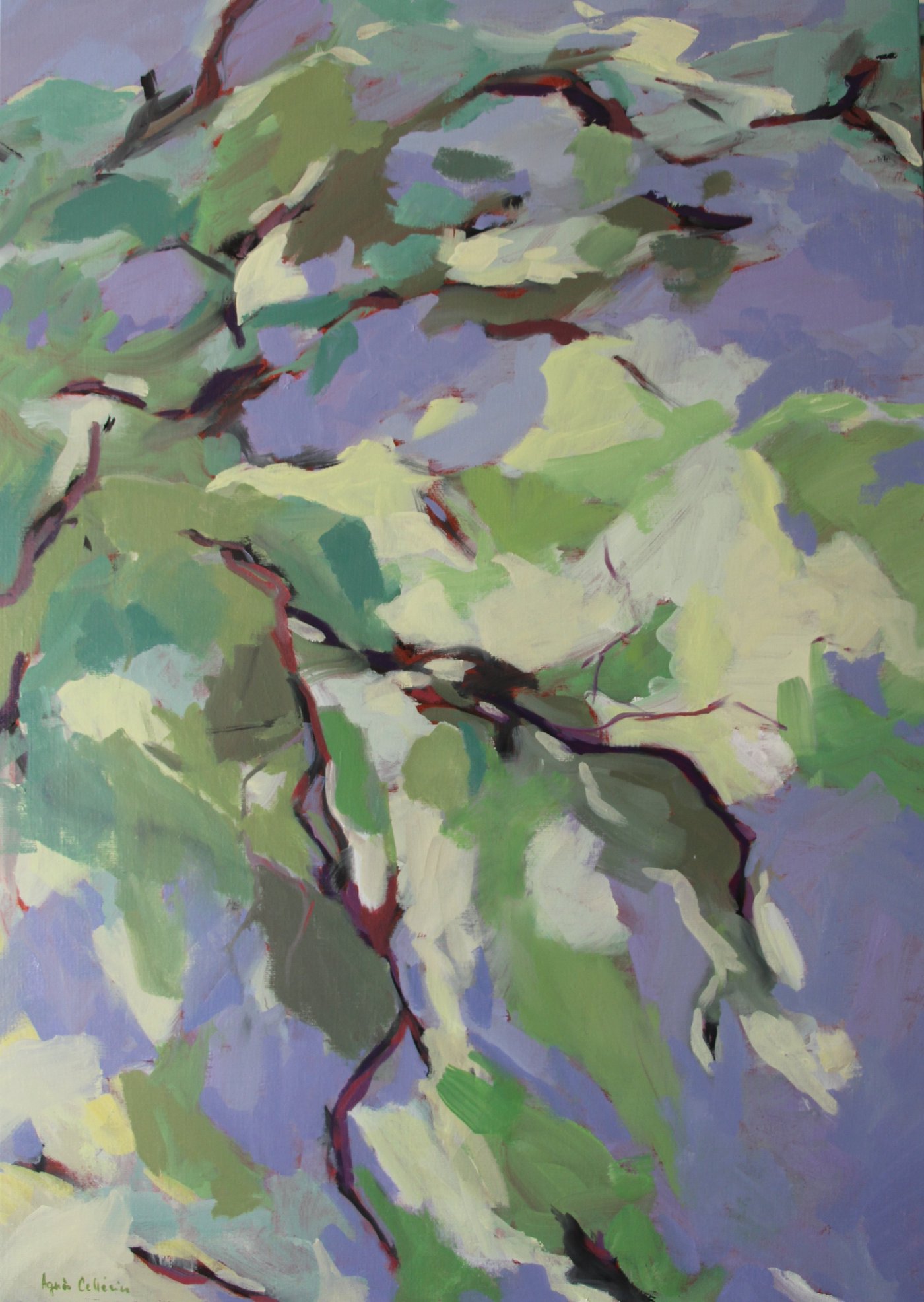 L'arbre centenaire