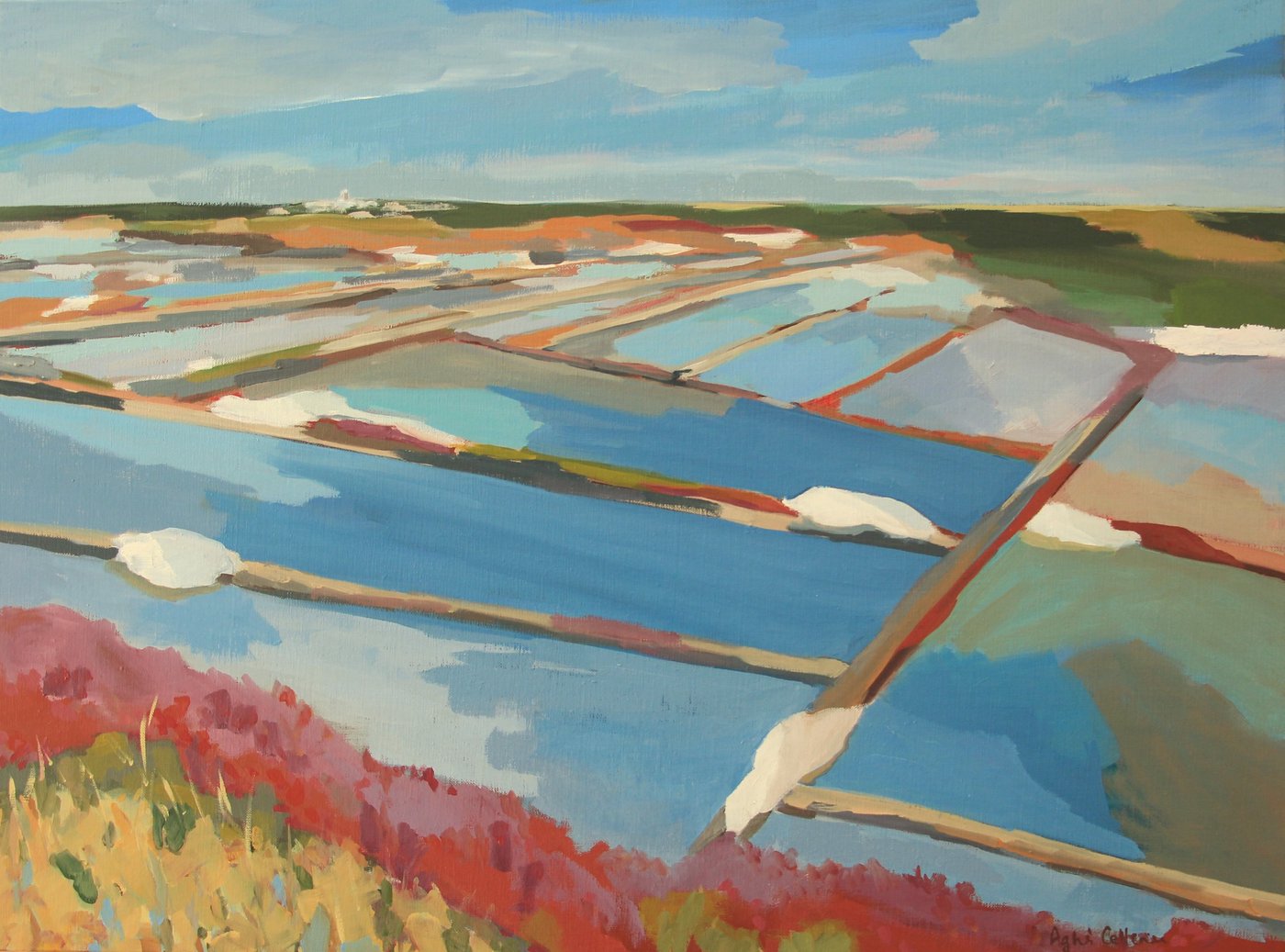 Marais salants