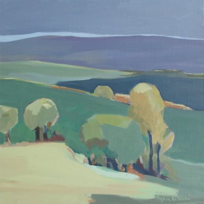 Paysage paisible du tarn