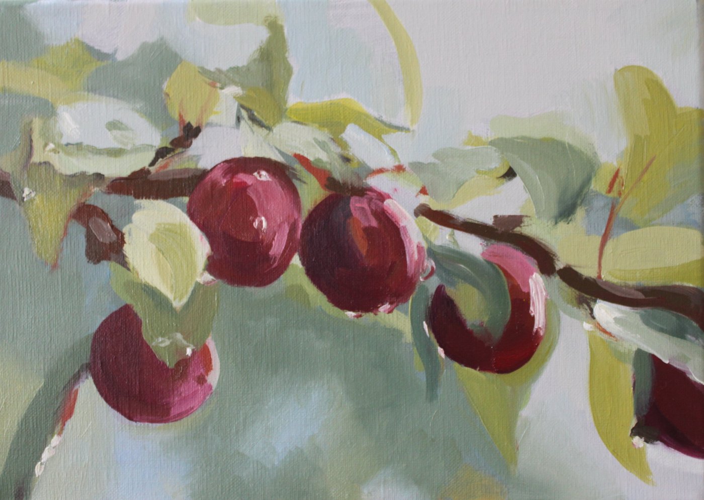 Prunes rouges