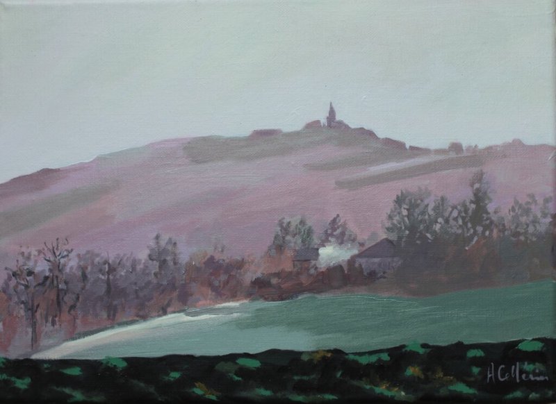 Puylaurens en rose