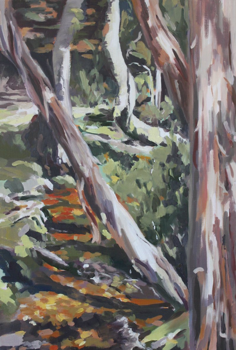 Sous-bois