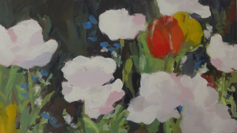 Tulipes